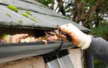 gutter cleaning Marywell
